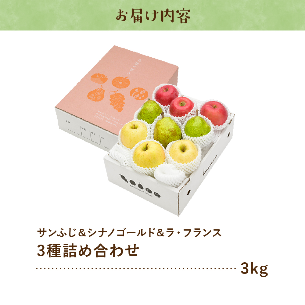 【2026年産】サンふじ&シナノゴールド＆ラフランス 詰め合わせ 3kg 秀品 化粧箱入り 山形県 東根市 東根農産センター提供 hi027-212-r8_イメージ3
