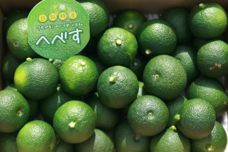 先行予約 訳あり 柑橘 へべす 果実 2kg [へべすの悠美園 宮崎県 日向市 452060461] 不揃い 家庭用 規格外 ヘベス 果汁 宮崎