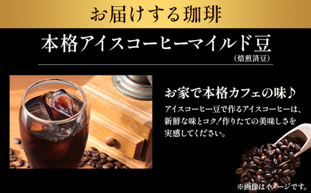 本格アイスコーヒーマイルド豆 500g 挽 ドリップバッグ 1袋 