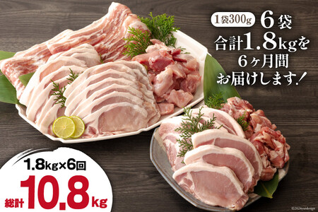 6回 定期便 豚肉 鶏肉 お料理 セット 計 10.8kg [甲斐精肉店 宮崎県 美郷町 31as0115]