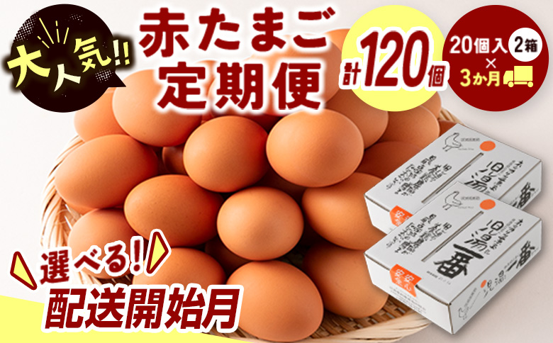 ＜配送開始月が選べる!!＞児湯養鶏自慢の卵 ネッカリッチ赤たまご「児湯一番」 計120個 （20個入×2箱）×3か月定期便 生活応援 ※2026年6月配送開始【C55-2606】