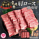 【ふるさと納税】＜宮崎牛肩ロース肉焼肉用（総量1kg 500g×2p）＞ 国産 牛肉 お肉 BBQ 焼き肉 小分け セット 冷凍 精肉 和牛 国産牛 宮崎県産 ブランド牛 A4/A5 キャンプ アウトドア【MI215-mk】【まきの屋】