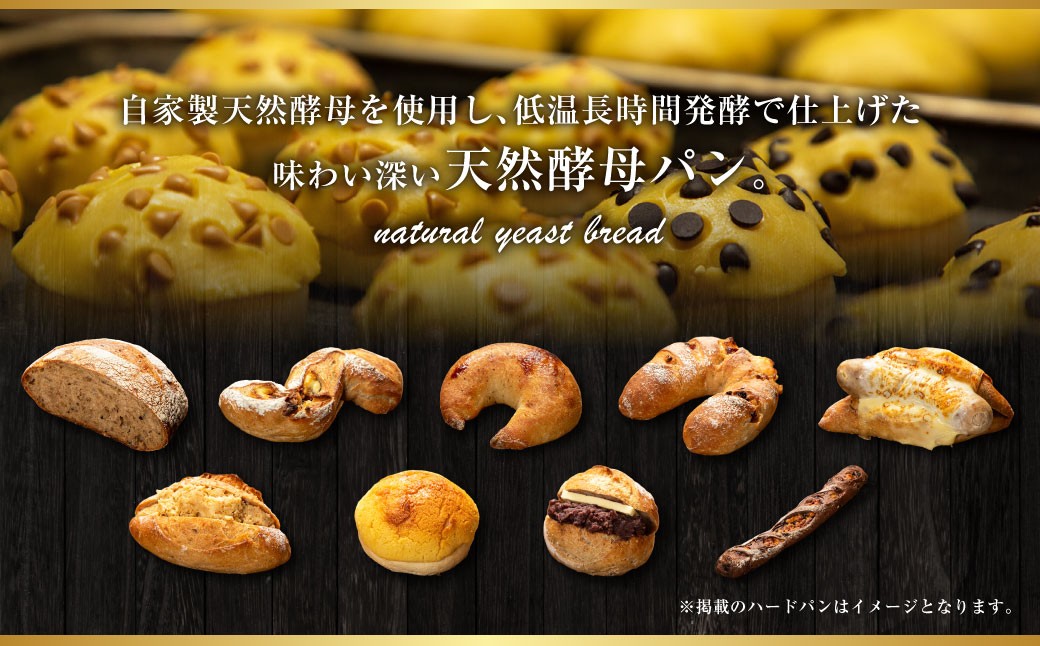 【訳あり】 自家製 天然酵母のハード系 パン セット 計11個 食べ比べ セット