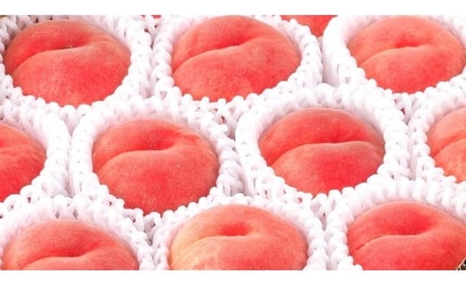 
            08-01-003　硬い！！もも(美晴白桃)2kg
          