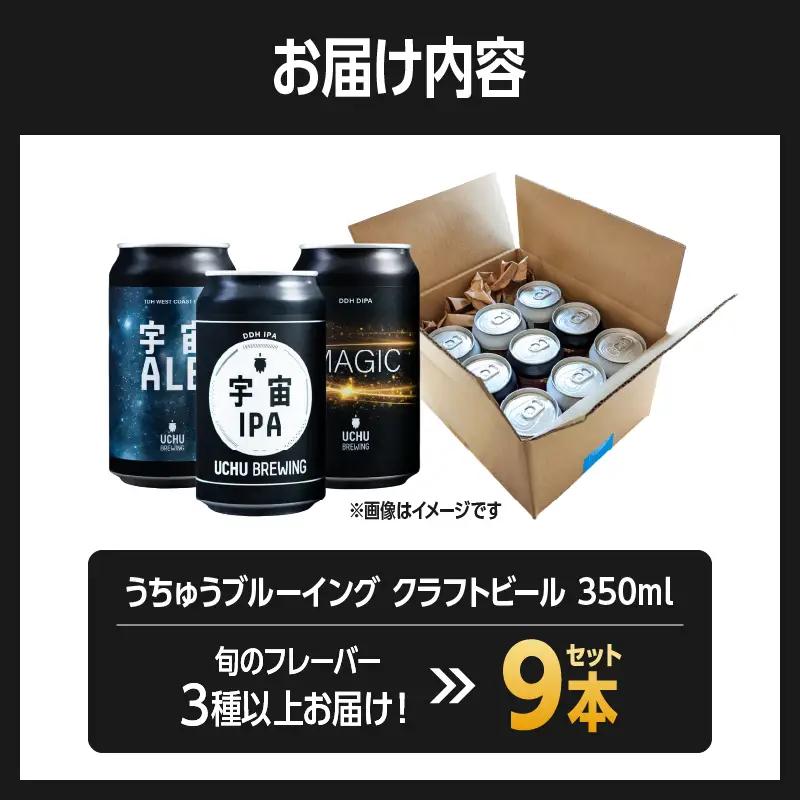 うちゅうブルーイング クラフトビール 9本 クラフトビール [h131]