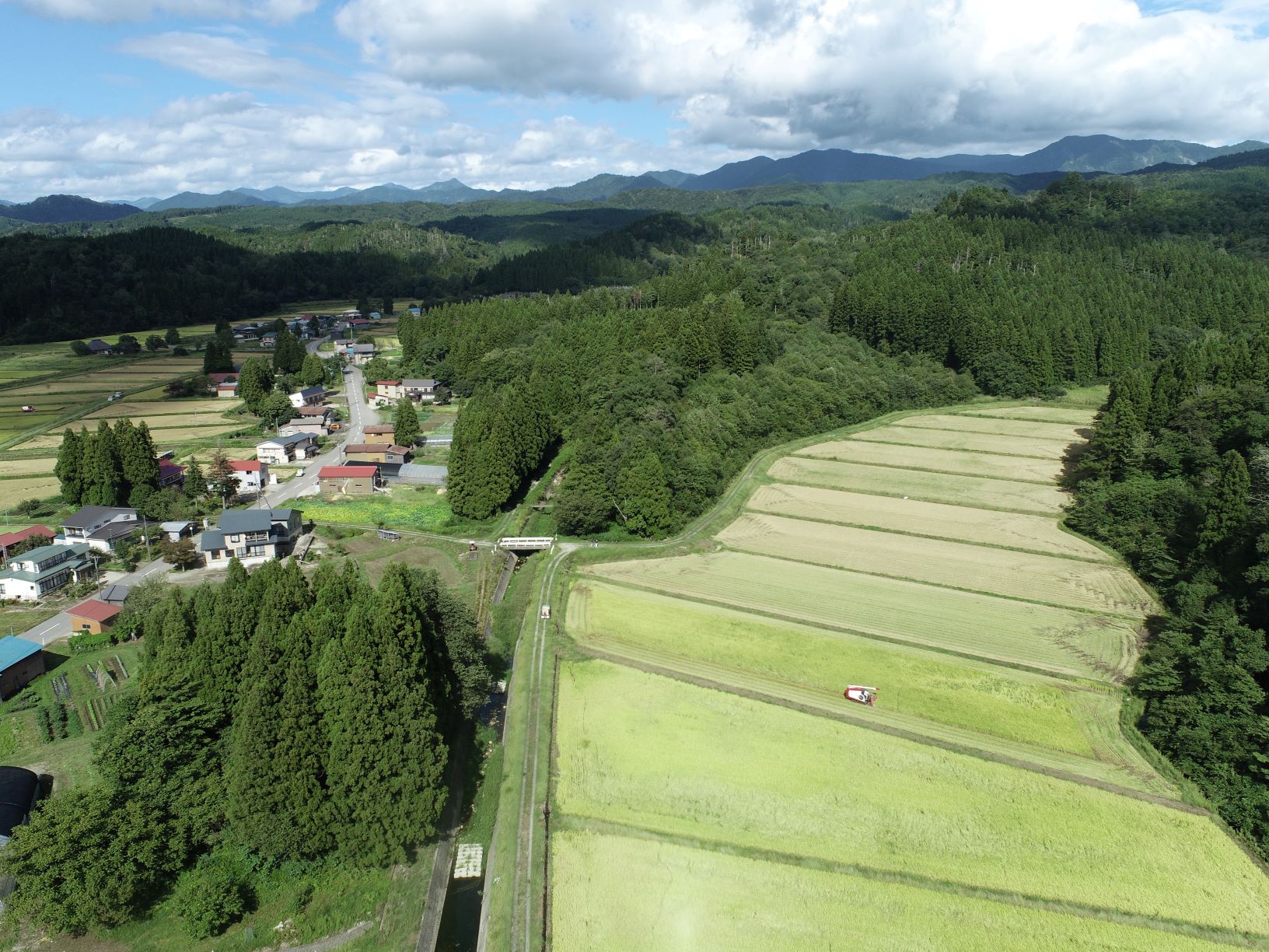 【3回定期便】【令和5年産】つや姫5kg　安心安全なおぐに木酢米　〜新嘗祭献穀農家の米〜