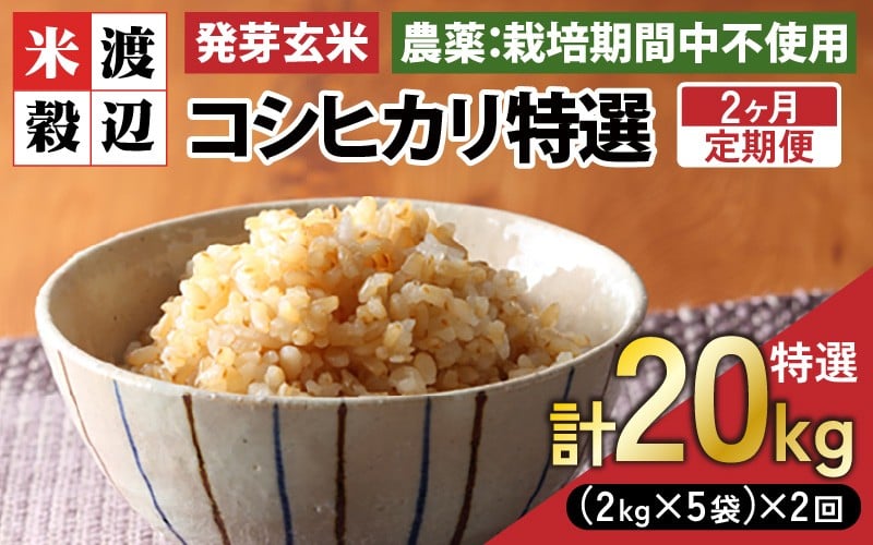 
                  【期間限定】【2ヶ月連続お届け】【令和7年産】発芽玄米 コシヒカリ「特選」特別栽培米使用 10kg（2kg×5袋）×2回（計20kg）【米 こしひかり 玄米 ギャバ GABA 特別栽培 食物繊維 栄養 真空パック ごはん ご飯 おいしい ふるさと納税米】 [K-2908]
                