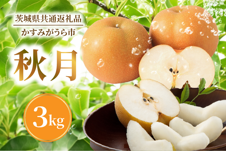 【9月中旬より発送】【数量限定】採れたて 梨 秋月 3kg（茨城県共通返礼品／かすみがうら市）果物 くだもの フルーツ なし ナシ 旬 新鮮 期間限定 産地直送 茨城県 水戸市（FW-14）