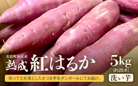 【先行予約】大谷原の熟成さつまいも (5kg 洗い芋) 約25本【2025年10月下旬以降順次発送予定】【入手困難・数量限定】【サツマイモ 芋 イモ 紅はるか べにはるか 熟成 甘い おいしい 国産 