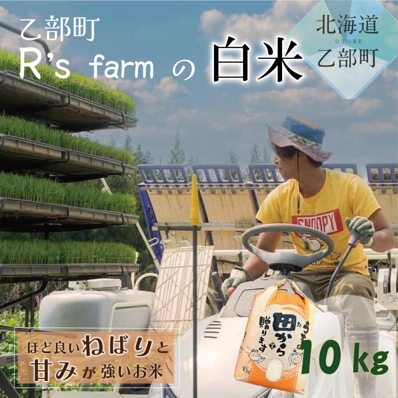 【ふるさと納税】＜北海道の米(10kg)～もっちり柔らか！若手農家が作る米＞ 10kg 北海道 乙部町 甘い 米 もちもち 北海道産 お米 北海道米