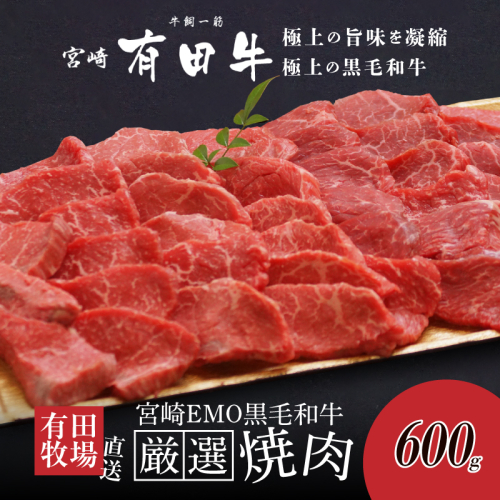 ＜木城白木八重牧場育ちの黒毛和牛厳選焼肉 600ℊ＞ K20_0012_3