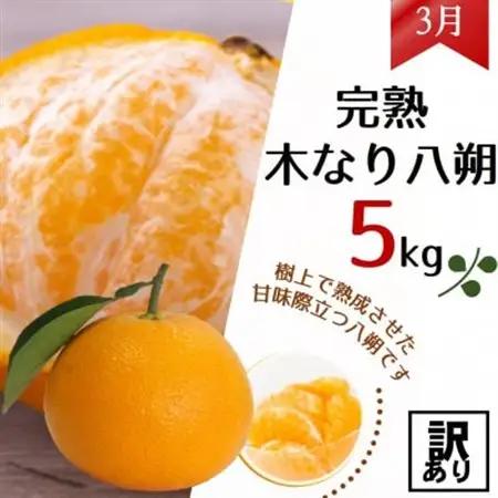 【発送月固定定期便】農家直送!ご家庭用　2種の柑橘定期便(みかん・八朔)各5kg【訳あり】全2回【配送不可地域：離島・北海道・沖縄県】【4053556】