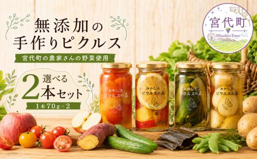 カラフルピクルス 選べる2種セット | ピクルス ぴくるす 野菜 トマト りんご さつまいも きゅうり 昆布 パプリカ ブロッコリー じゃがいも 国産 おすすめ 人気 埼玉県 宮代町