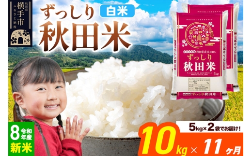 《令和8年産 新米受付》《定期便11ヶ月》秋田県 横手市産 ブレンド米【白米】10kg（5kg×2袋） [米 お米 こめ 白米 精米 ブレンド米 小分け ご飯 ごはん 秋田県産 横手市]