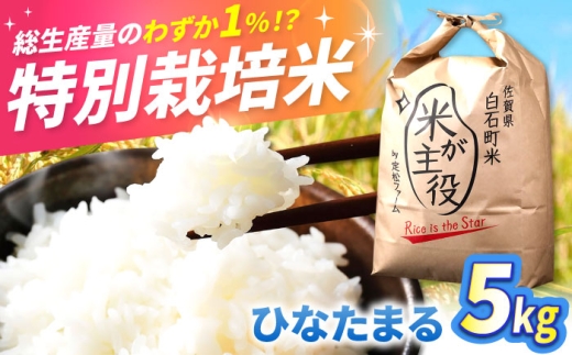 【先行予約】 令和8年産 ひなたまる 5kg 【定松ファーム】白米 ひなたまる 5kg 米 お米 佐賀県産 国産米 ブランド米 精白米 [IBV009]