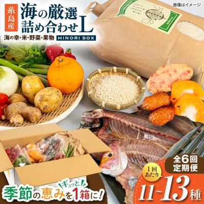ふるさと納税 糸島市 全6回定期便 糸島産 魚 米 野菜 果物 厳選詰め合わせ MINORI BOX L [AOP029]
