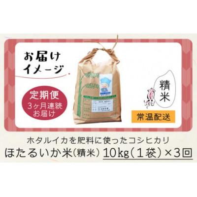 ふるさと納税 滑川市 【毎月定期便】ほたるいか米　精米　10kg全3回 |  | 03
