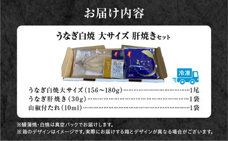 うなぎ白焼(大サイズ)・肝焼きセット うなぎ 白焼 セット 冬うなぎ 冬鰻