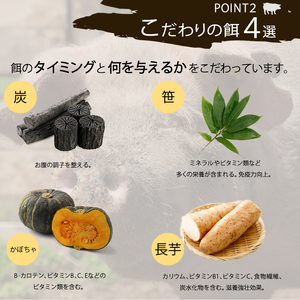 どろぶた 豚ロース肉 200g×10枚 とんかつ ソテー 豚肉