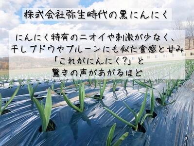 【株式会社弥生時代】ふぞろいの越冬熟成黒にんにく100g×3袋【Mサイズ片】