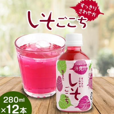 ふるさと納税 本山町 すっきりさわやかしそごこち　280ml×12本セット