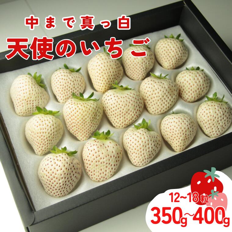 【ふるさと納税】【発送1月～】天使のいちご　350～400g　白いちご　【苺】 イチゴ おおきい スイーツ 果物 ふるさと納税 いちご うまい フルーツ 期間限定 人気いちご まるい 甘い いちご 旬 直送 おすすめいちご ストロベリー 苺ジャム いちご 好きのための いちご