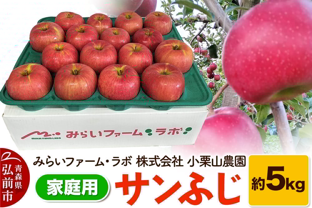 
            りんご【家庭用】サンふじ 約5kg
          