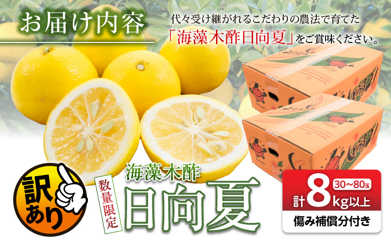 先行予約 訳あり 数量限定 海藻木酢 日向夏 小夏 計8kg以上 傷み補償分付き 期間限定 フルーツ 果物 くだもの 柑橘 みかん 訳アリ 国産 食品 デザート おやつ おすそ分け おすすめ ご家庭用