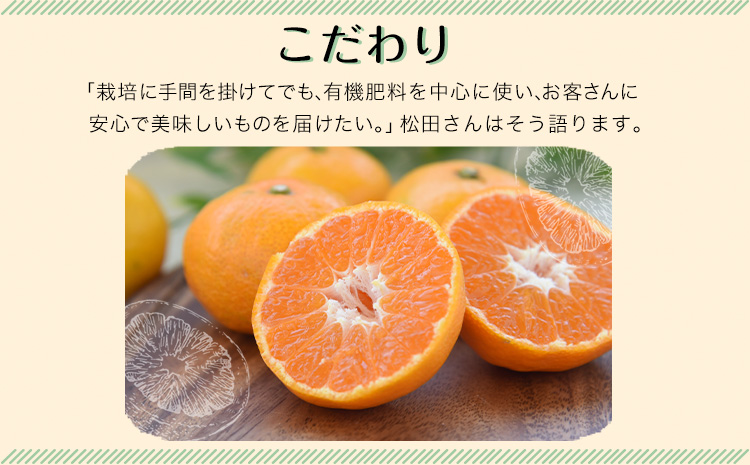 みかん ご家庭用『松田農園』ご家庭用みかん 約5kg(S-2Lサイズ) たっぷり 【日付指定不可】 予約受付中 フルーツ 秋 旬 約5kg 熊本県玉名郡玉東町『松田農園』 こだわり ミカン！ちょこっと
