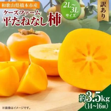 柿【2026年度発送分】ケーズファーム (訳あり) 平たねなし柿 約3.5kg【1783245】