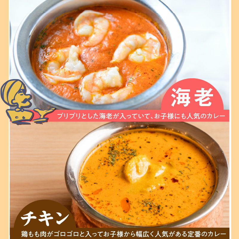 【辛口】ビスヌ 本格カレー 10食＋プレーンナン5枚＋チーズナン5枚_ビスヌ 本格 カレー 10食 プレーンナン チーズナン 各 5枚 辛口 バターチキン 豆 海老 チキン キーマ インドカレー ナン