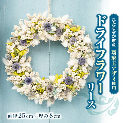 【ふるさと納税】ドライフラワーリース【1530478】
