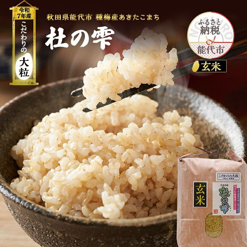 【ふるさと納税】新米 米 お米 《定期便6ヶ月》【玄米】秋田県産 あきたこまち あきた種梅産こまち 杜の雫 こだわりの大粒 5kg×6回 合計30kg　お届け：2025年10月中旬より順次発送予定です。