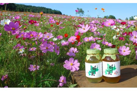 国産天然しんかい蜂蜜（280g×3本）