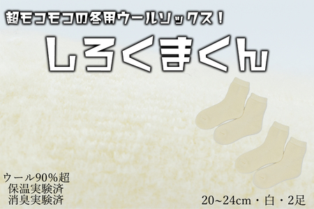 本当に温かいウールの靴下　しろくまくん（ホワイト）２足セット Ｍ２０cm ～２４cm// ー 靴下 温かい 温活 ルームソックス 冷え  ウール 足元 靴下 くつした ソックス ルームシューズ日本製 奈良県 広陵町