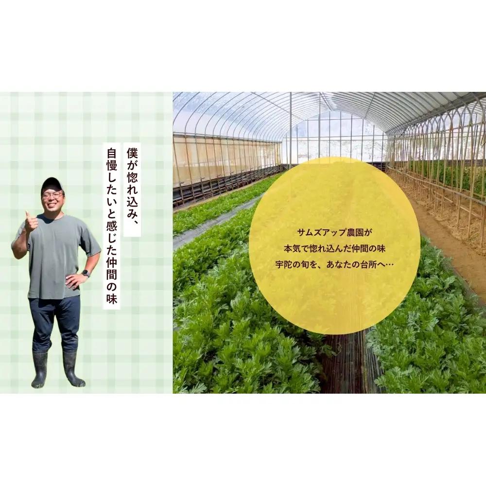 農家が惚れた「さんとこマルシェ」旬野菜セット（12-15品） / サムズアップ農園 農家 さんとこマルシェ ふるさと納税 ベジタリアン 野菜セット 旬の野菜 詰め合わせ 奈良県 宇陀市 