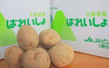 男爵いも 約20kg  野菜 芋 いも じゃがいも ジャガイモ ポテト 男爵 北海道 浦臼町  【2026年9月上旬～2026年9月下旬発送予定】