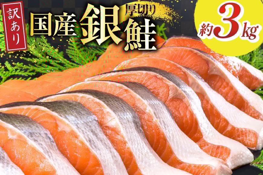 
            訳あり 国産 減塩 厚切り 塩銀鮭 切身 計 3kg [足利本店 宮城県 気仙沼市 20565398] サーモン 鮭 さけ サケ シャケ 魚 海鮮 魚介 甘塩味 規格外 不揃い 鮭切身 切り身 簡易包装 家庭用 訳アリ 冷凍 塩分控えめ 無添加
          