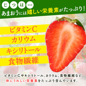 ＜先行予約受付中！2026年2月上旬より順次発送予定＞福岡県産 あまおう (計1kg・250g×4P) いちご イチゴ 苺 ストロベリー 果物 フルーツ おやつ デザート 1000g 4パック 冷蔵【