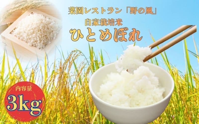 【令和7年産】数量限定　菜園レストラン「野の風」自家栽培米　ひとめぼれ3kg【hnyk007】