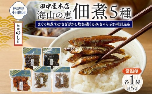 
                  無地熨斗 海山の恵 つくだ煮5種セット まぐろ わかさぎ きゃらぶき 椎茸昆布 磯くるみ 各1袋 田中屋本店佃煮 わかめ ご飯のお供 おにぎり お茶漬け 惣菜 おかず 和食 トッピング 老舗 ギフト 贈り物 朝食 弁当 おつまみ 小田原市 神奈川県
                