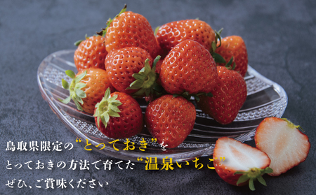 【1173】鳥取県産とっておき「温泉いちご」大きさいろいろ詰め合わせ 1キロ