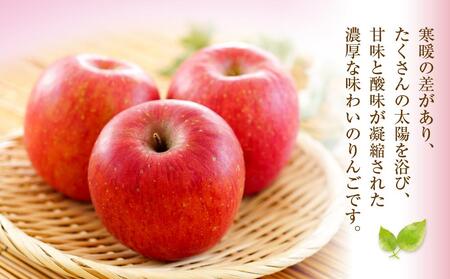 【先行予約】近澤果樹園 りんご「早生ふじ」5kg（2025年10月下旬より発送予定）| りんご りんご りんご りんご りんご りんご _01178