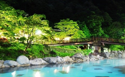 大沢温泉　山水閣ペア宿泊券１泊２食　新館　和室２間（渓流側）プラン 【207】