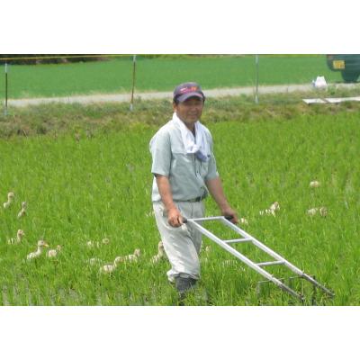 ふるさと納税 胎内市 令和7年産　新潟県胎内市産新之助10kg(5kg×2袋)(精米) |  | 02
