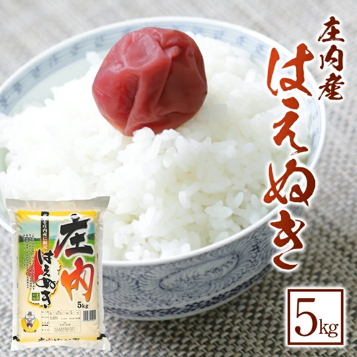 SA2832　令和7年産【精米】はえぬき　5kg×1袋 《農産物検査員おすすめの庄内米》 SY