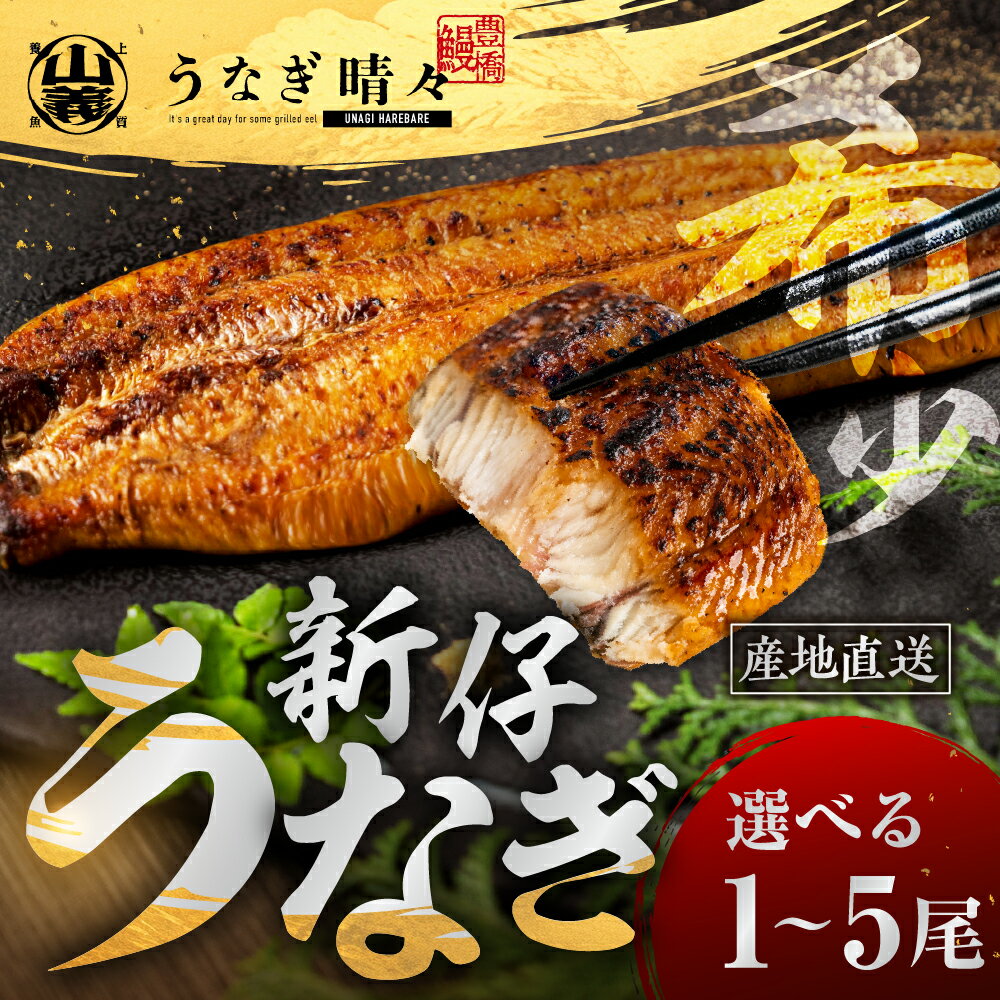 【ふるさと納税】＼★5 高評価／ 希少 山義養魚の『うなぎ晴々』 蒲焼 厳選 国産 新仔うなぎ 若うなぎ 鰻 簡易包装 ウナギ うなぎ 鰻 蒲焼 ギフト 配布 最高級 ひつまぶし 土用丑の日 ギフト 冷凍 丑の日 簡単調理 豊橋うなぎ お取り寄せ 送料無料 豊橋