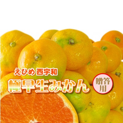 みさき果樹園の極早生みかん5kg【C21−35】【1613814】