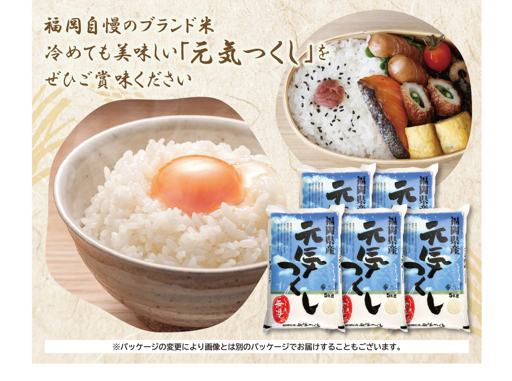 【新米】令和7年産 無洗米 福岡県産・元気つくし25kg  無洗米 むせんまい 米 コメ 25kg キャンプ 研がなくていい  5kg×5 TWR 25キロ 箱入り 手間なし カンタン 簡単 福岡 元