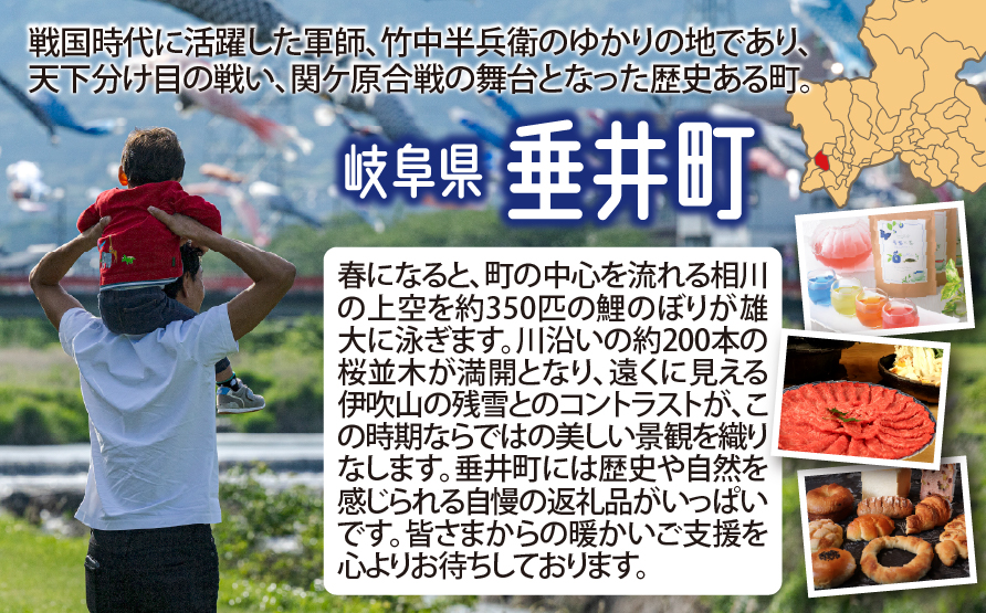 ≪令和7年産≫ 【3か月定期便】【新米】 岐阜 コシヒカリ （約10kg×3回）